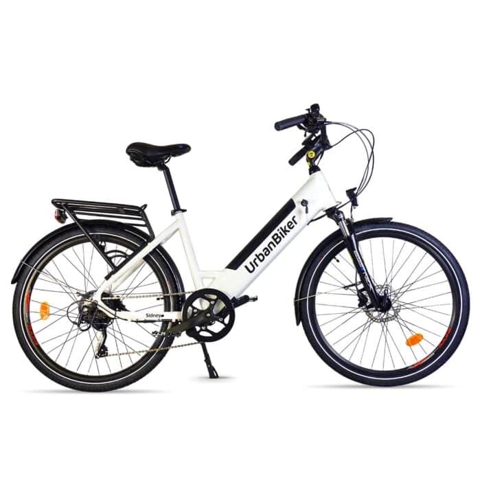 Batterie 540 Wh Urbanbiker Sidney/ Sidney PLUS – Image 5