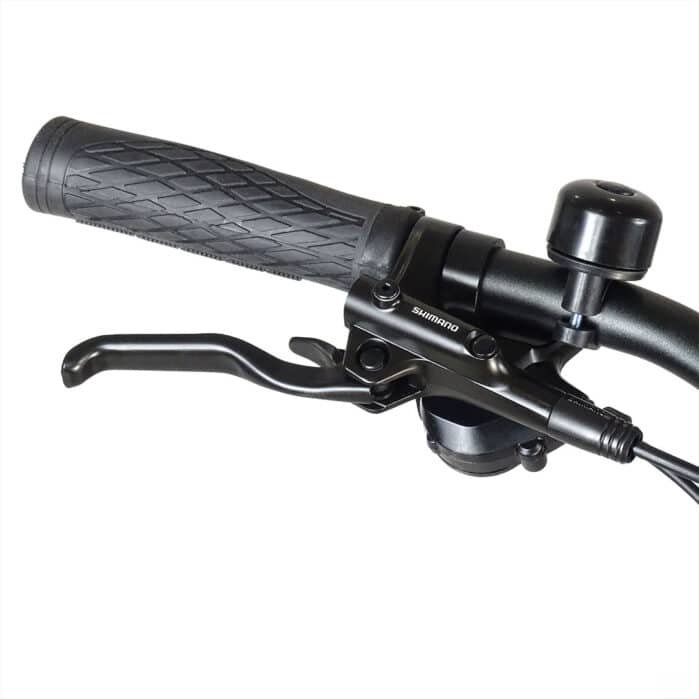 Urbanbiker Dakota 23