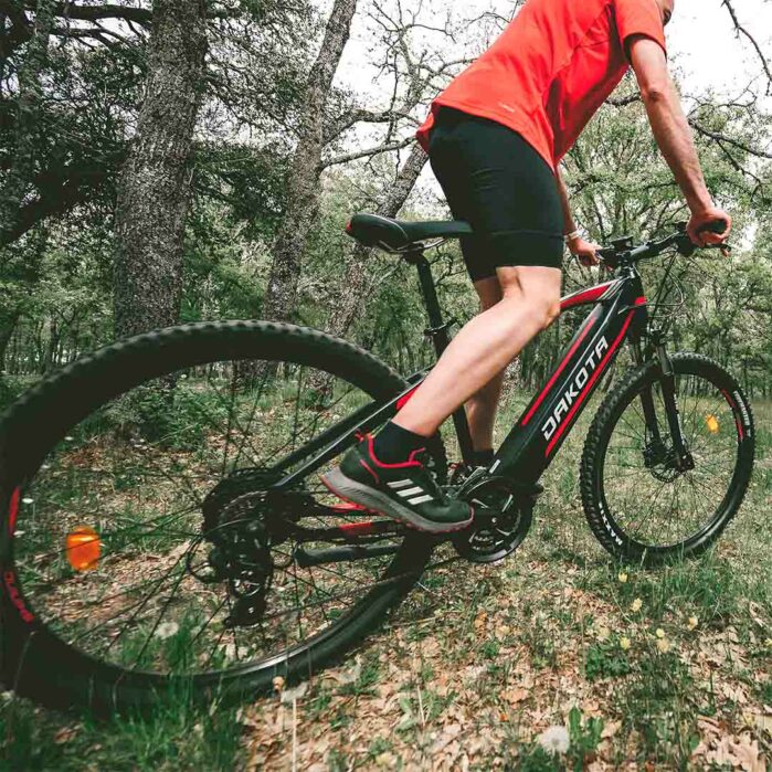 Urbanbiker Dakota - Imagen 8