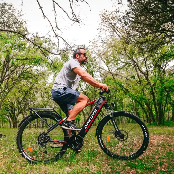 Urbanbiker Dakota FE – Image 6